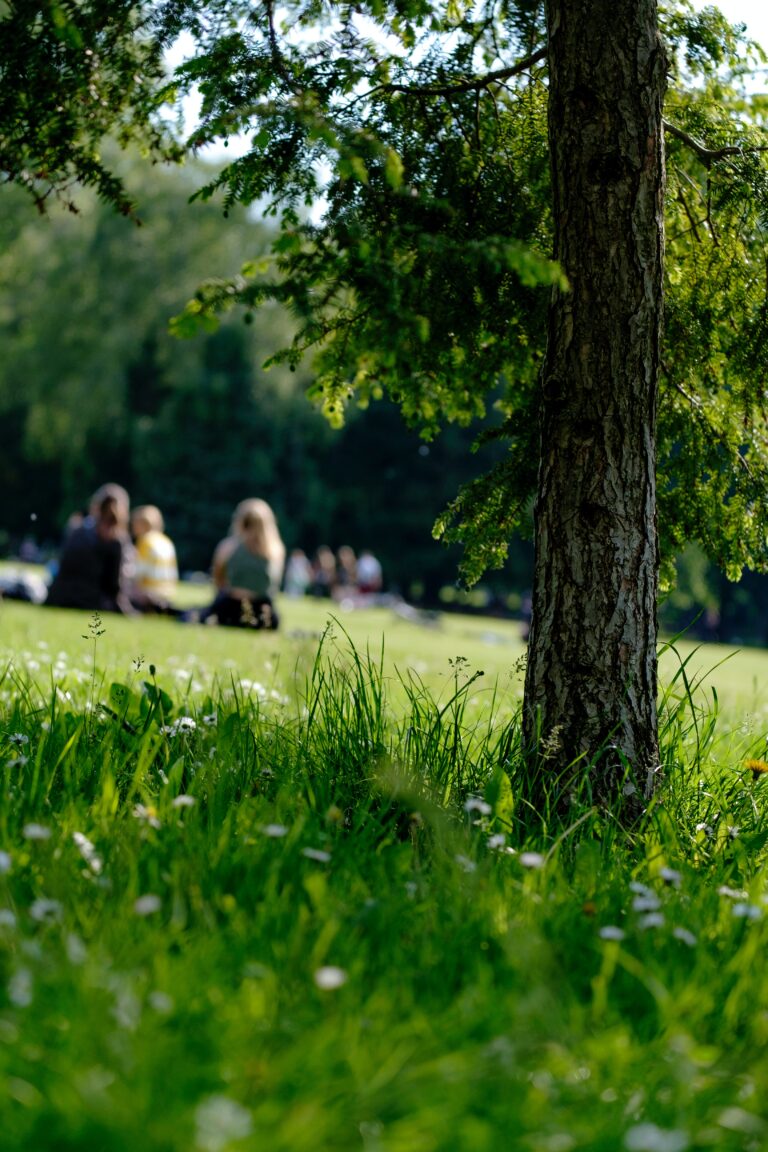 Picnic photo by Krisztin Papp