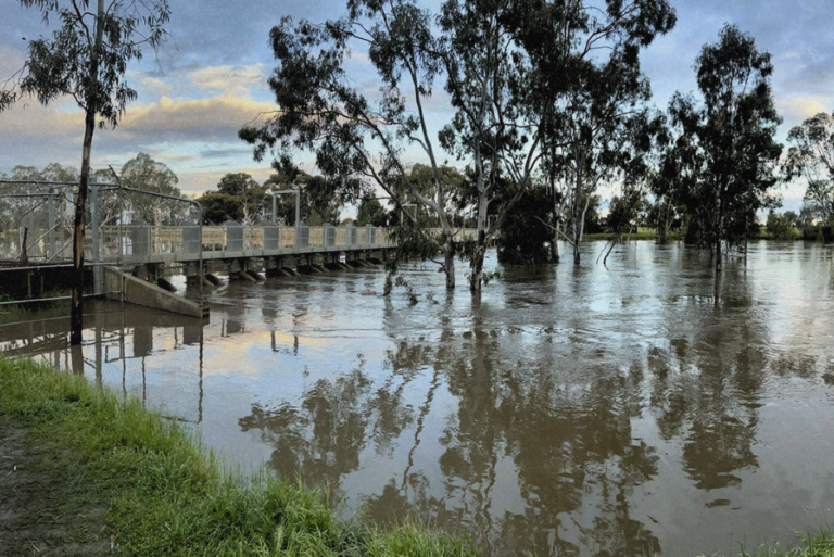 2022 Victorian floods