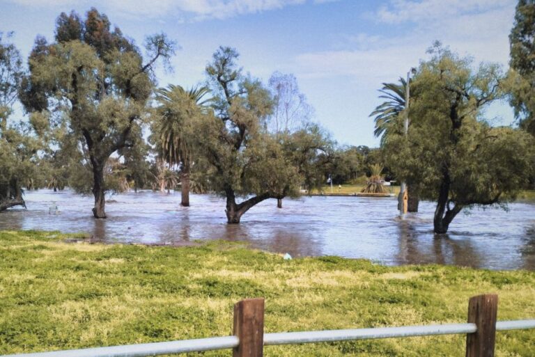 Maribyrnong river flood review